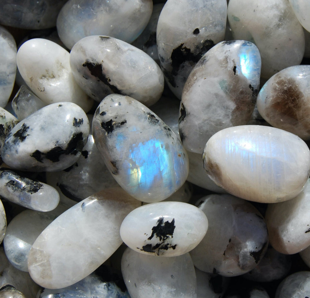 Rainbow Moonstone ~ Raw Black Tourmaline Bracelet ~ Gold ~ store Minimalist ~ Genuine Untreated Therapeutic Quality Gemstone Energy Bracelet 3mm