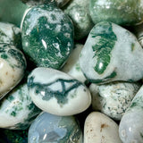 Agate - Tree Agate Green, White Jade, White Lava Stone, Rosewood Spacers Custom Size Round Smooth Stretch (8mm) Natural Gemstone Crystal Energy Bead Bracelet