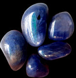 Sapphire Blue Kashmir Custom Size Round Smooth Stretch (8mm) Natural Gemstone Crystal Energy Bead Bracelet