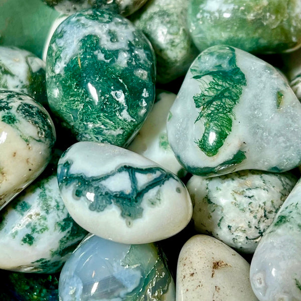 Tree Agate Tumbled Natural Gemstone Crystal Rock