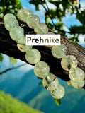 Prehnite Custom Size Round Smooth Stretch (8mm) Natural Gemstone Crystal Energy Bead Bracelet