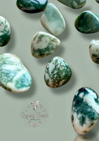 Tree Agate Tumbled Natural Gemstone Crystal Rock