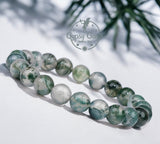 Agate - Tree Agate Green White•Custom Size•Round Smooth Stretch (8mm) Natural Gemstone Crystal Energy Bead Bracelet