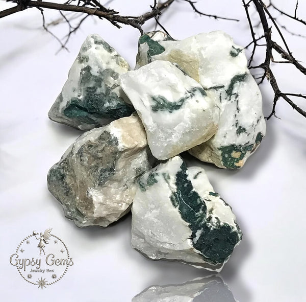 Tree Agate Natural Raw Rough Crystal Rock Gemstone