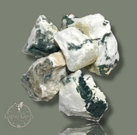 Tree Agate Natural Raw Rough Crystal Rock Gemstone