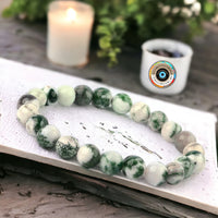 Agate - Tree Agate Green White Custom Size Round Smooth Stretch (8mm) Natural Gemstone Crystal Energy Bead Bracelet
