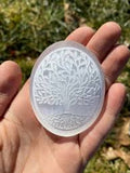 Selenite Engraved Etching Palm Worry Stone Crystal: 7 Chakra, Tree of Life, Meditate, Flower of Life