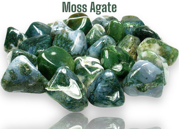 Moss Agate, Dendritic Opal Tumbled Natural Gemstone Crystal Rock