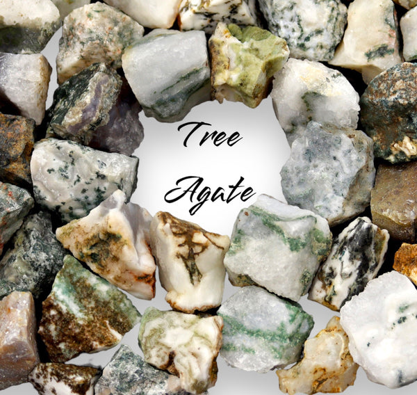 Tree Agate Natural Raw Rough Crystal Rock Gemstone